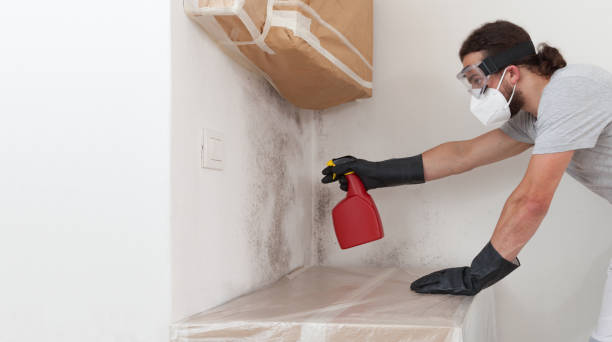 Professional Bathroom Mold Removal technician working in Lowell, OR