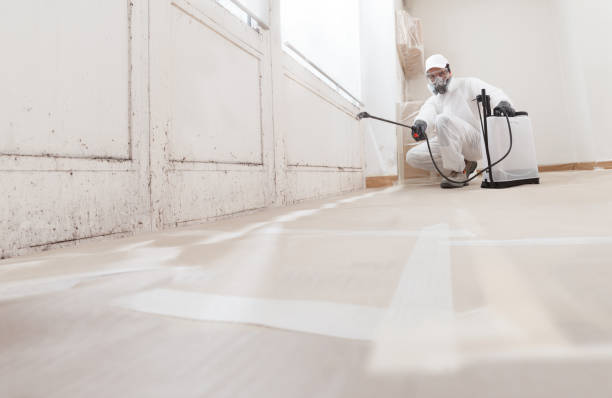 24/7 Emergency Bathroom Mold Removal experts in Lowell, OR